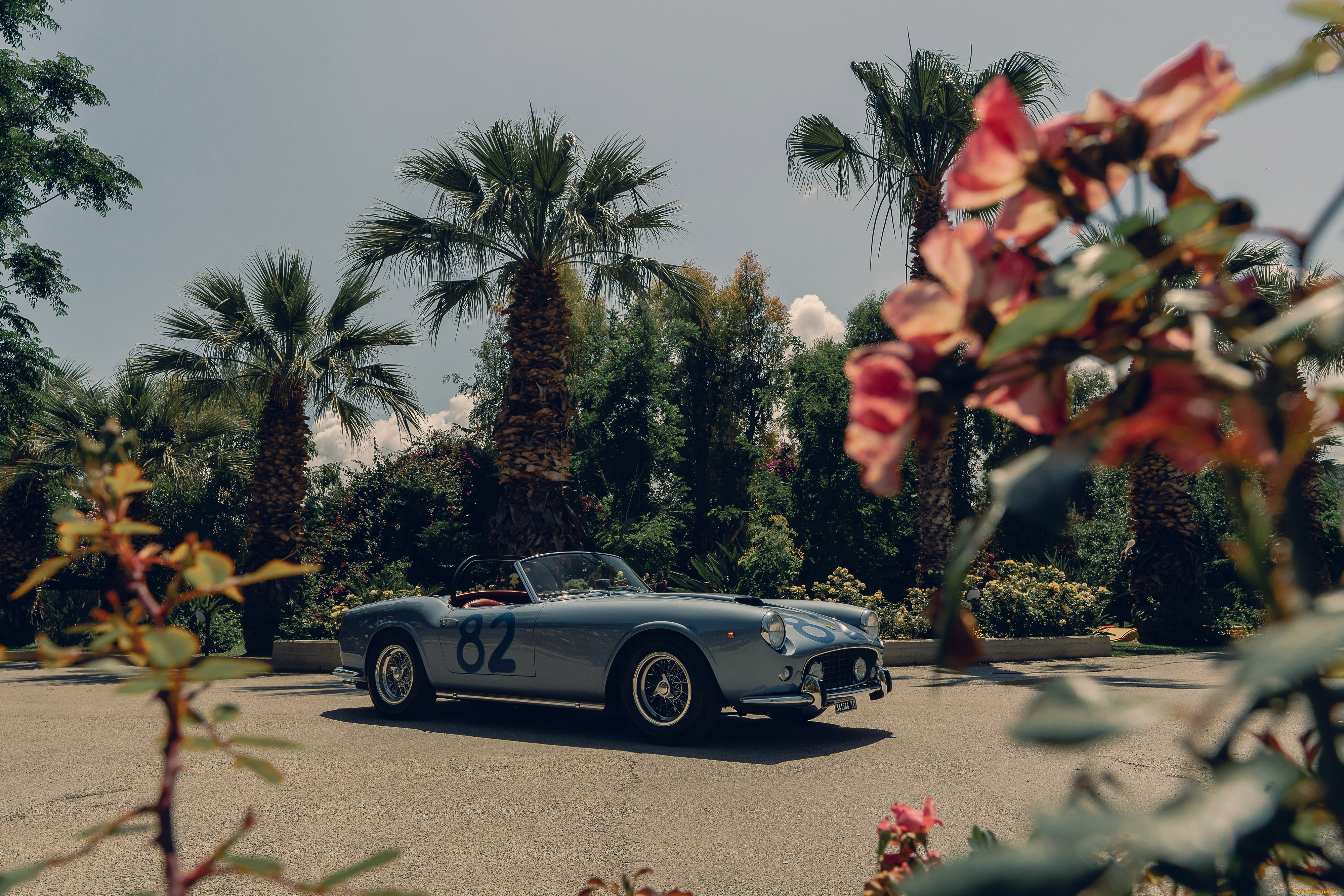 , ferrari